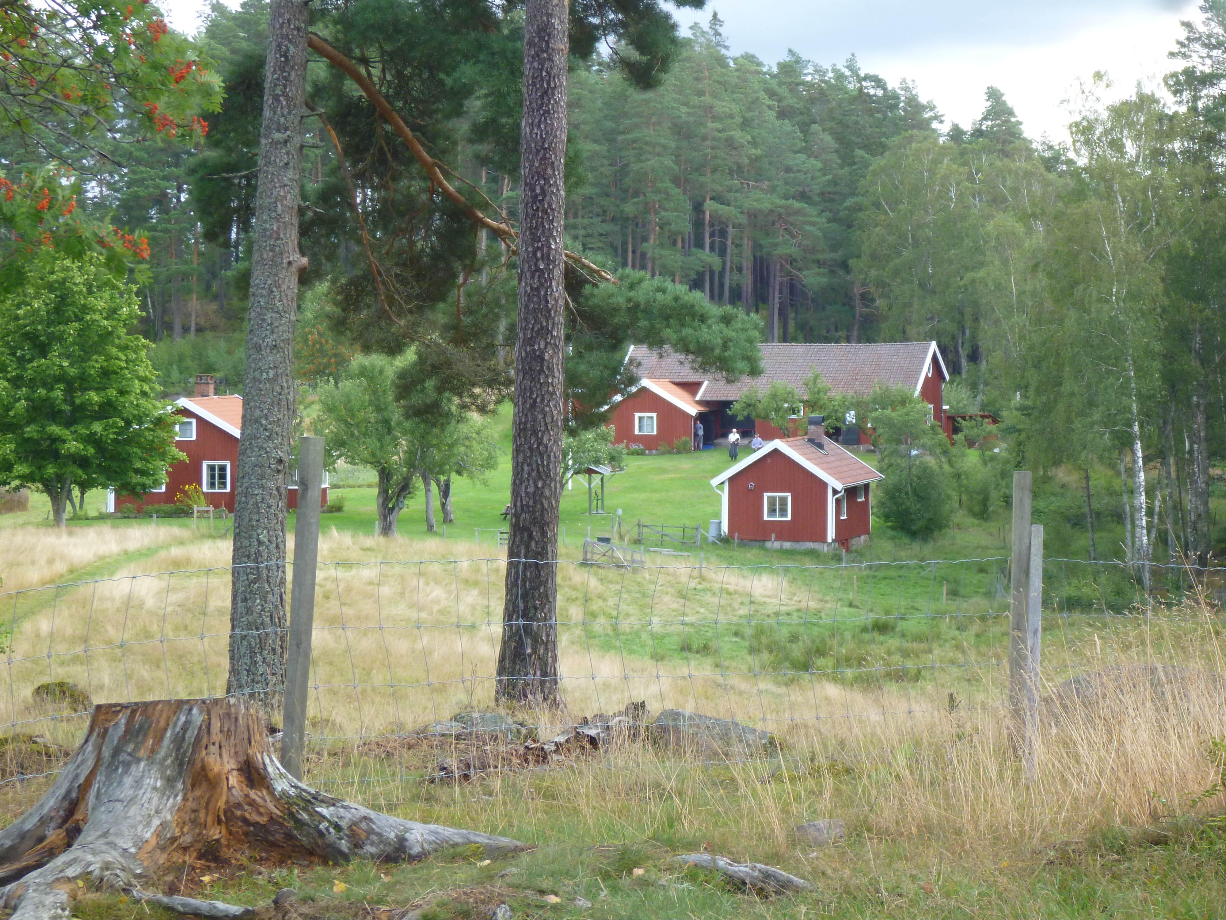 Dammsjöås från vindskydden